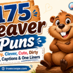 175 Beaver Puns Funny, Clever, Cute, Dirty Jokes, Captions & One Liners