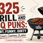 325 Grill and BBQ Puns Short, Funny, Dirty One-Liners Captions & jokes