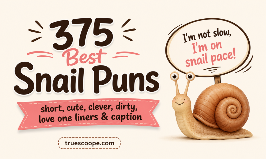 375 Best Snail Puns short, cute, clever, dirty, love one liners & caption