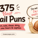 375 Best Snail Puns short, cute, clever, dirty, love one liners & caption