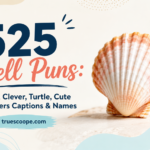 525 Shell Puns Short, Clever, Turtle, Cute One-Liners Captions & Names