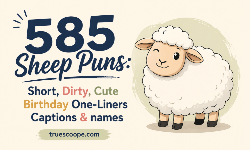 585 Sheep Puns Short, Dirty, Cute Birthday One-Liners Captions & names