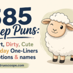 585 Sheep Puns Short, Dirty, Cute Birthday One-Liners Captions & names