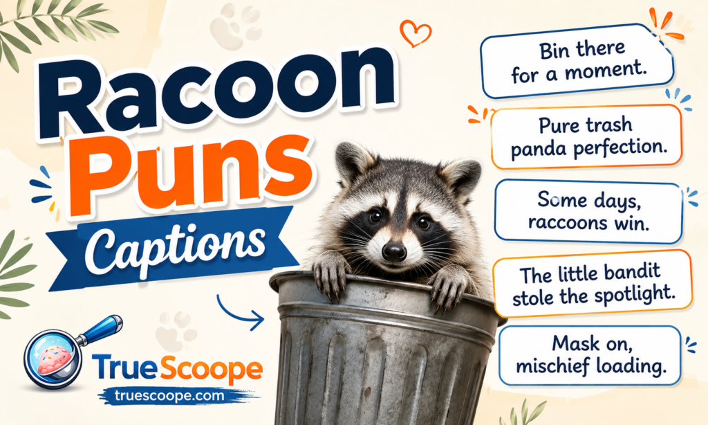 Raccoon Puns Captions
