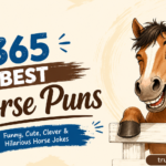 365 Best Horse Puns Funny, Cute, Clever & Hilarious Horse Jokes