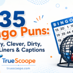 435 Bingo Puns: Funny, Clever, Dirty, One-Liners & Captions