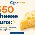 550 Cheese Puns Funny, Cheesy One Liners, Subtle & Captions