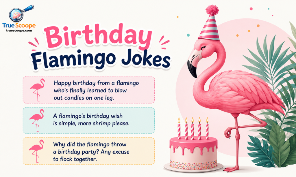 Birthday Flamingo Jokes