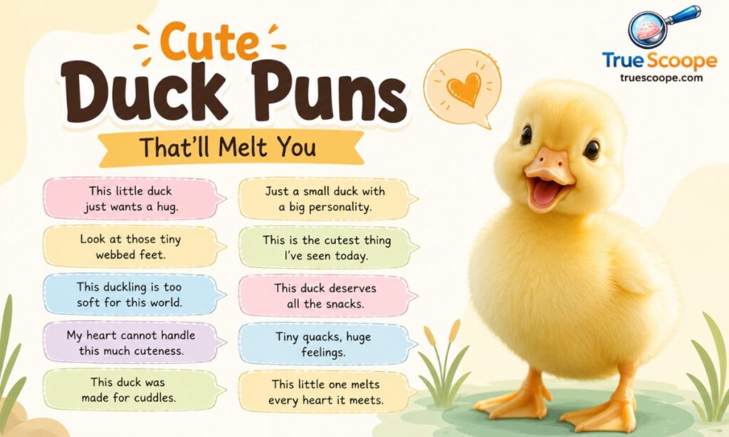 Cute Duck Puns That'll Melt You