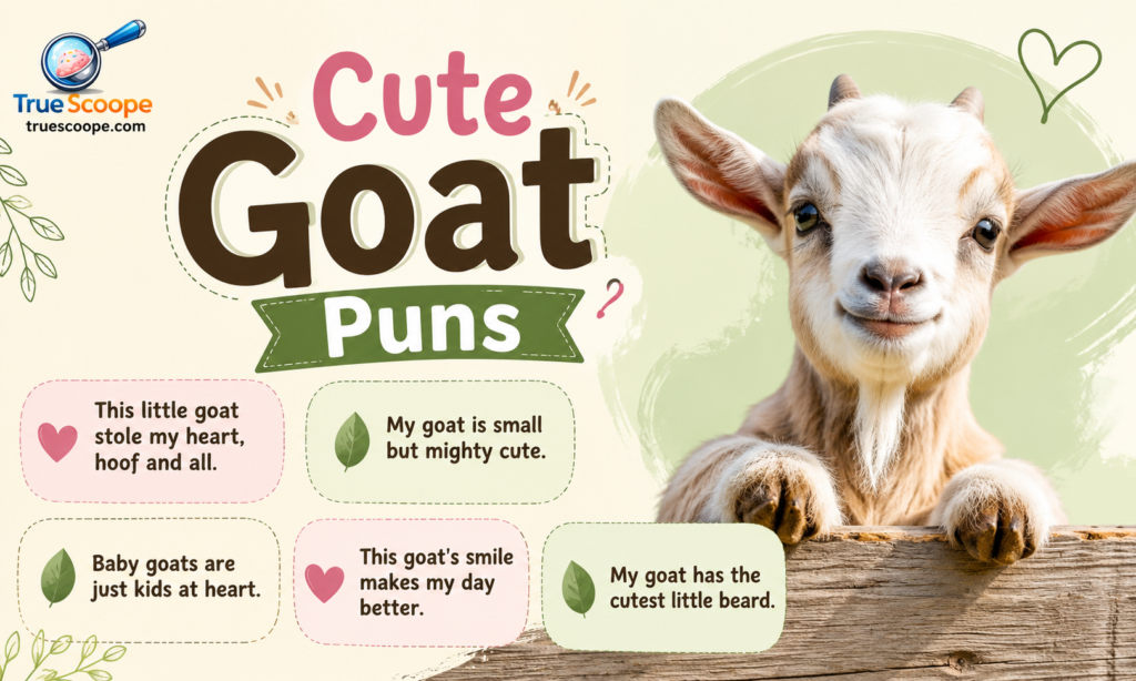 Cute Goat Puns
