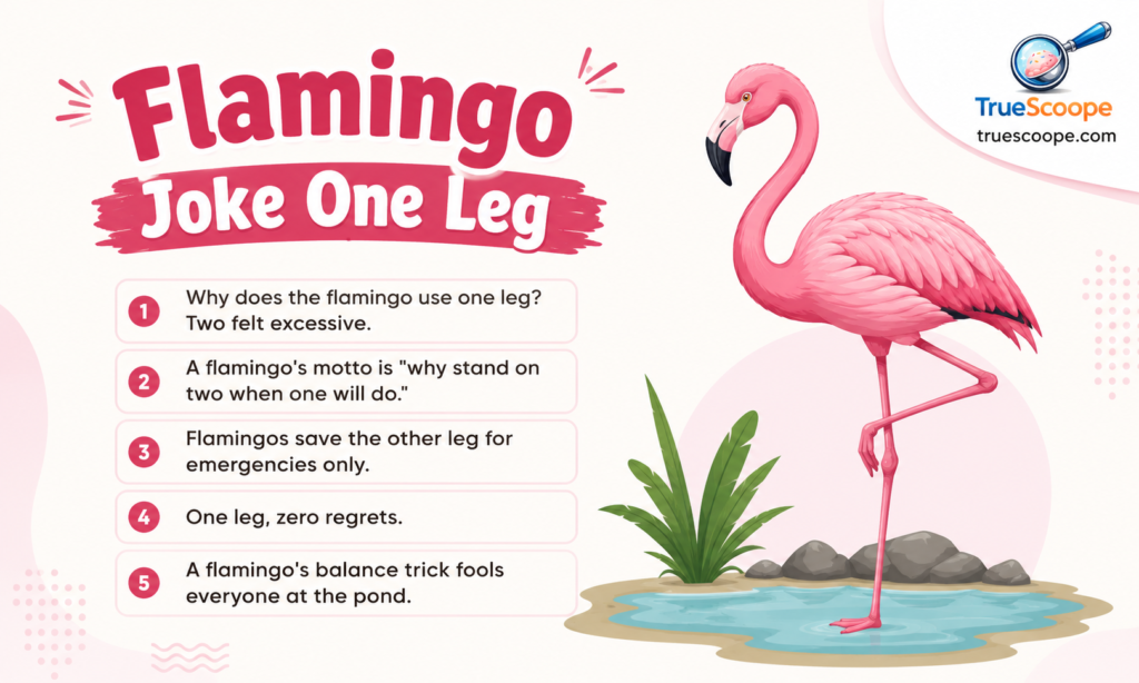 Flamingo Joke One Leg