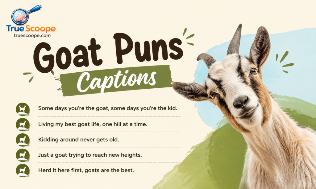 Goat Puns Captions