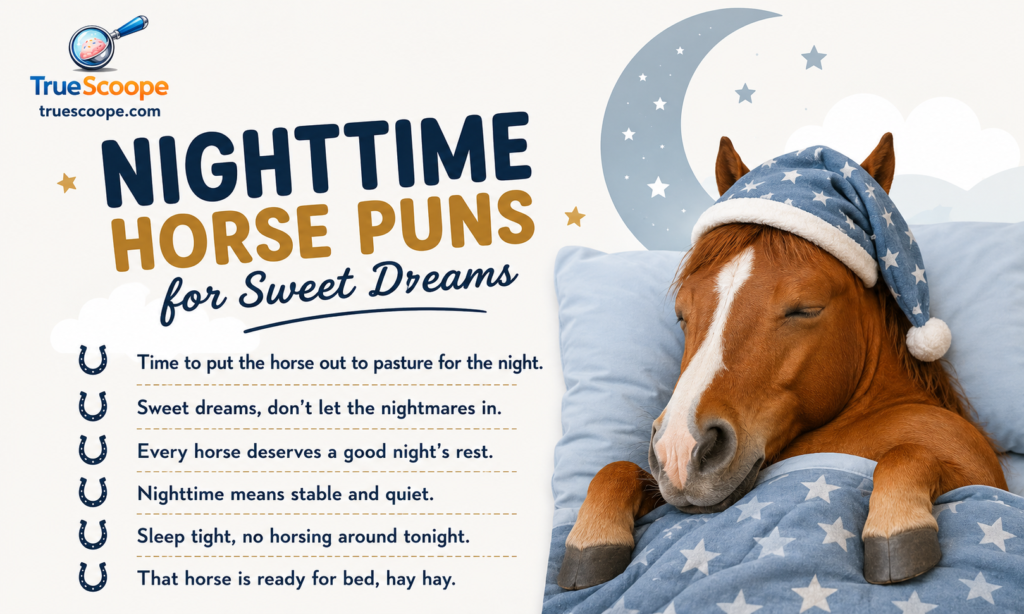 Nighttime Horse Puns for Sweet Dreams 🌙