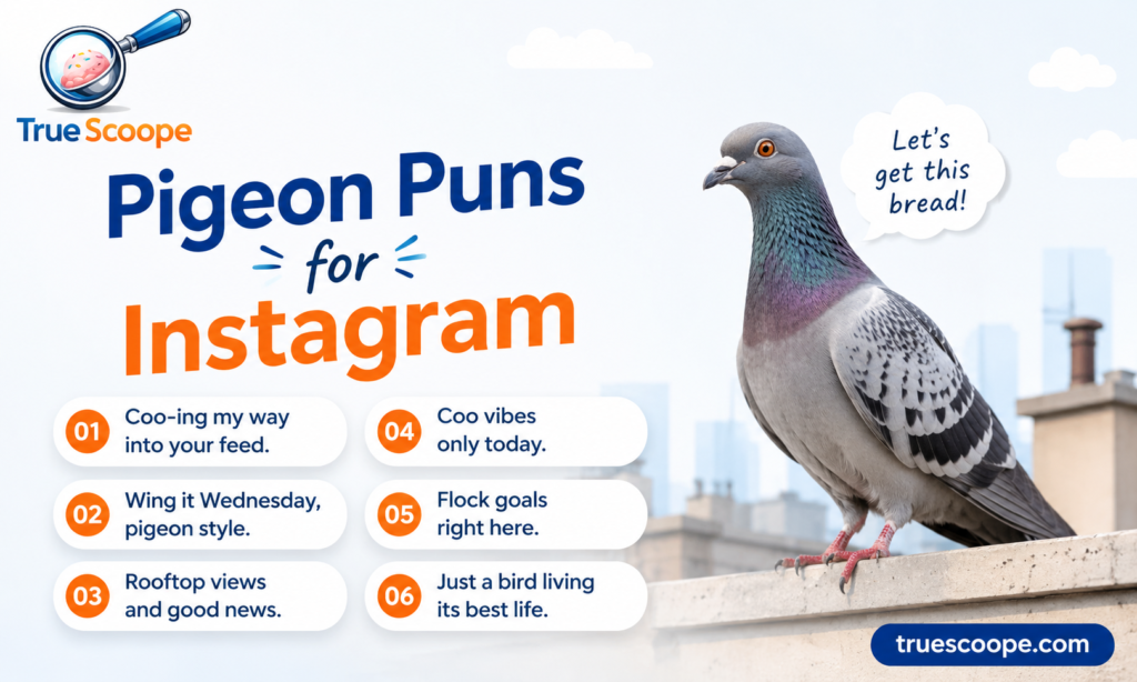 Pigeon Puns for Instagram
