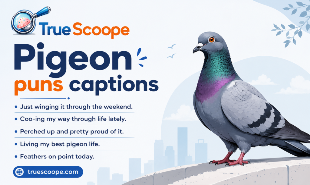 Pigeon puns captions