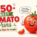 350+ Best Tomato Puns That Are Ripe for Laughs