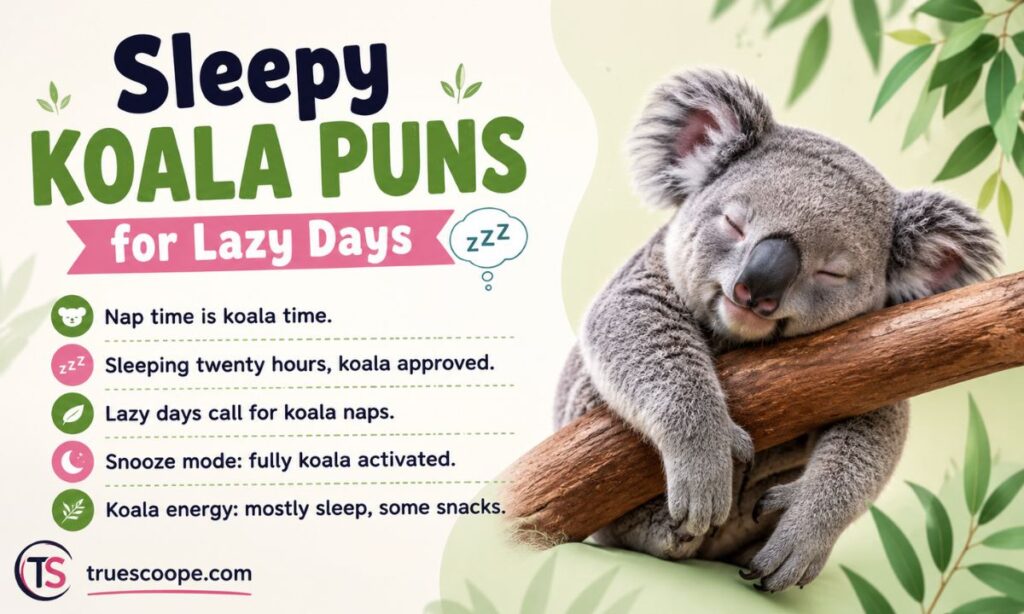 Sleepy Koala Puns for Lazy Days 😴